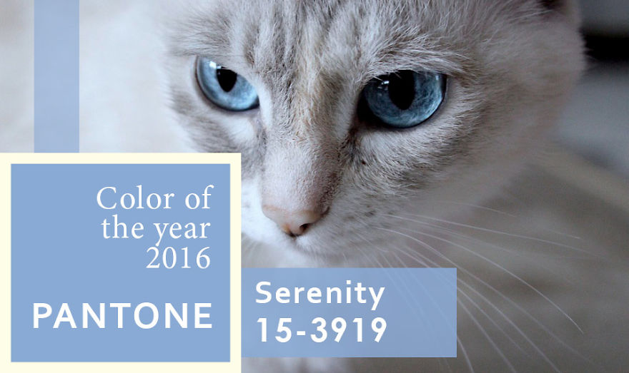 I've Been Finding Matches For Pantone Colors Of The Year Since 2000 To Inspire People To Use More Color In Their Lives I've Been Finding Matches For Pantone Colors Of The Year Since 2000 To Inspire People To Use More Color In Their Lives