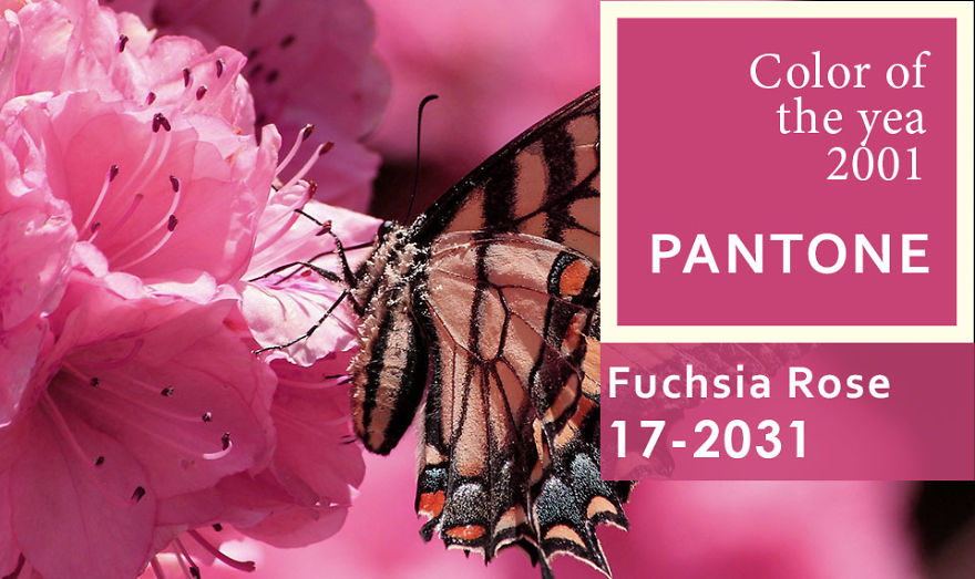 I've Been Finding Matches For Pantone Colors Of The Year Since 2000 To Inspire People To Use More Color In Their Lives I've Been Finding Matches For Pantone Colors Of The Year Since 2000 To Inspire People To Use More Color In Their Lives