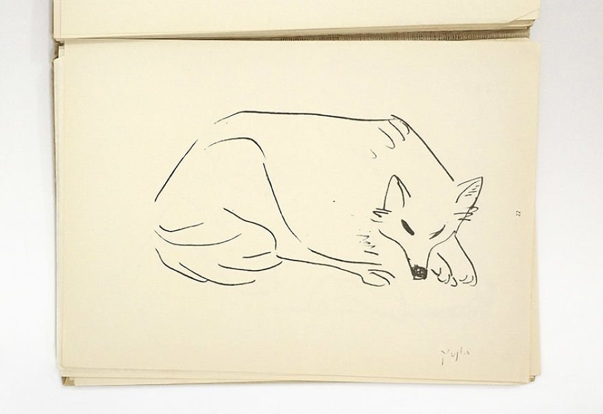 I Found A 50-Year-Old Book With Animal Illustrations, And Turned Them Into Minimalist Sculptures I Found A 50-Year-Old Book With Animal Illustrations, And Turned Them Into Minimalist Sculptures