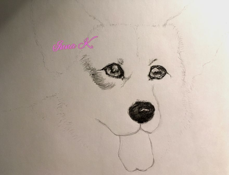 I Make Exclusive, Life-Like Portraits Of Pets And Here Is The Progress I Make Exclusive, Life-Like Portraits Of Pets And Here Is The Progress