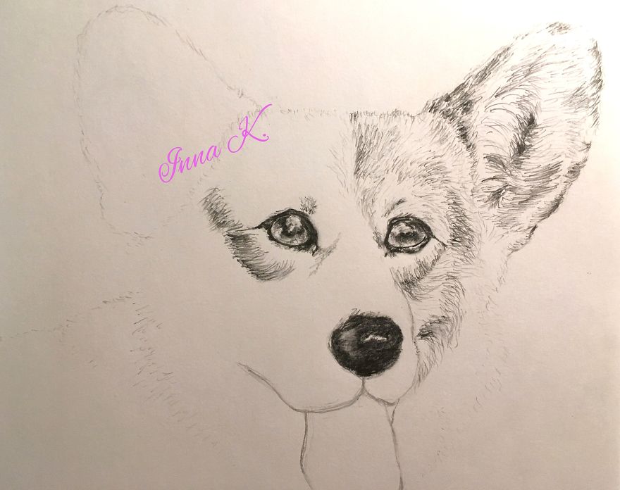 I Make Exclusive, Life-Like Portraits Of Pets And Here Is The Progress I Make Exclusive, Life-Like Portraits Of Pets And Here Is The Progress