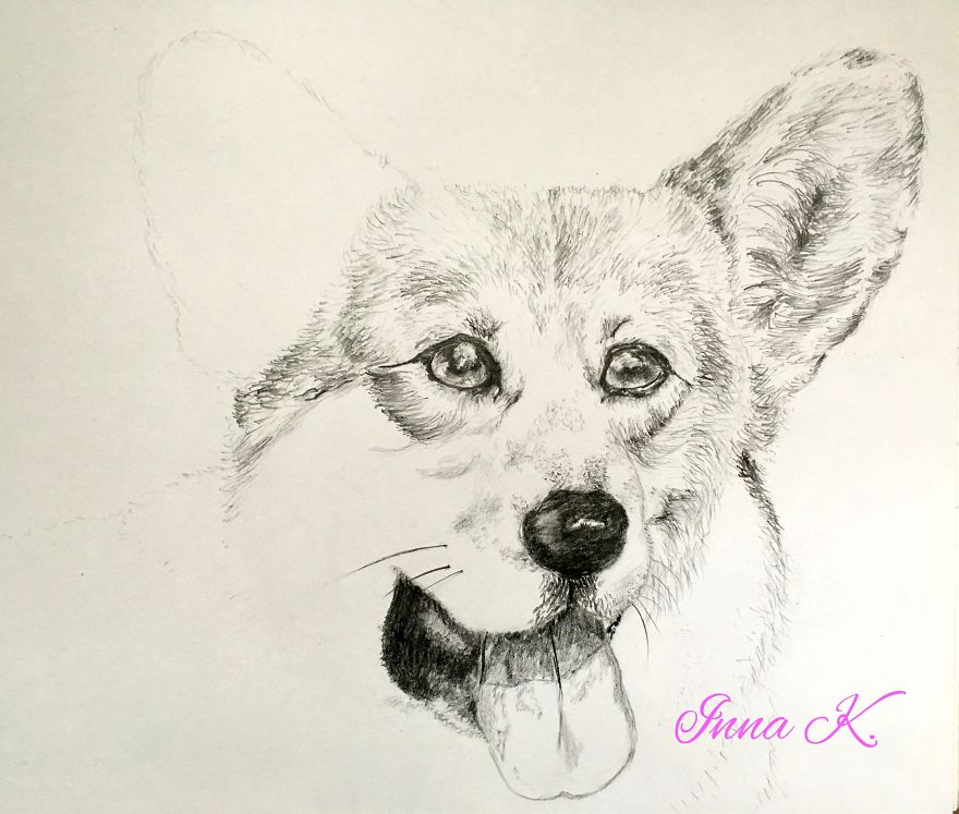 I Make Exclusive, Life-Like Portraits Of Pets And Here Is The Progress