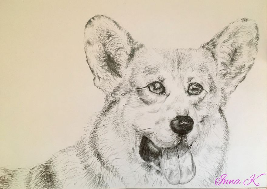 I Make Exclusive, Life-Like Portraits Of Pets And Here Is The Progress