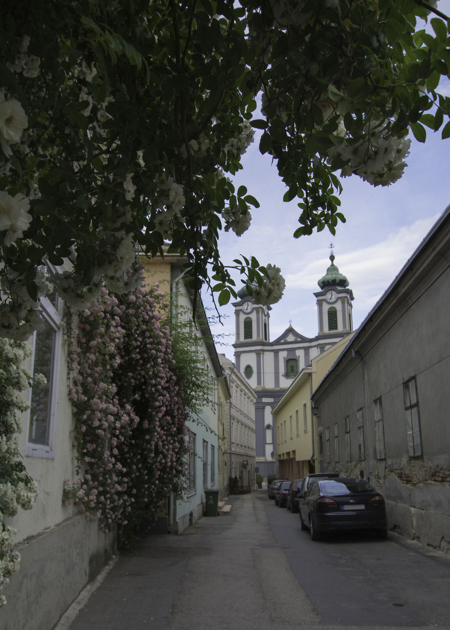 I Photographed My Hungarian Hometown