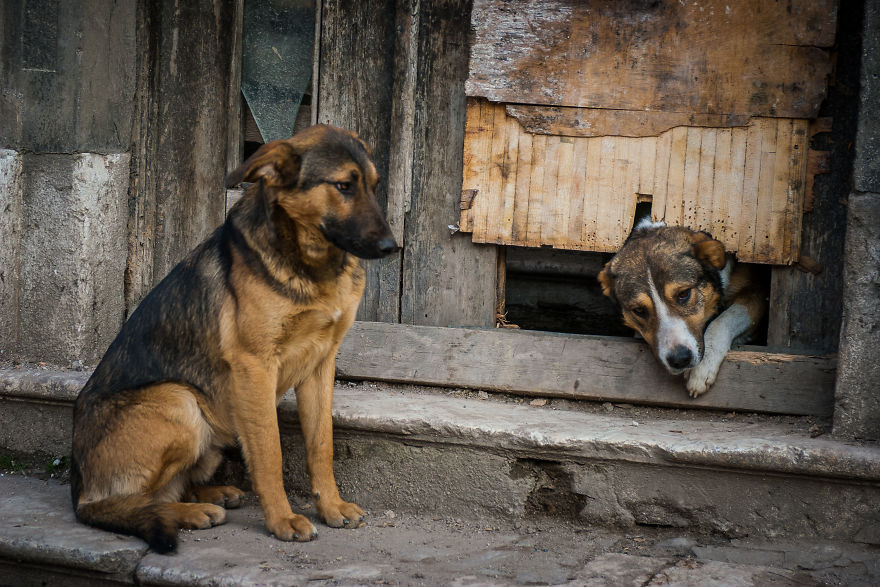 Life In Bosnia And Herzegovina In Photographs