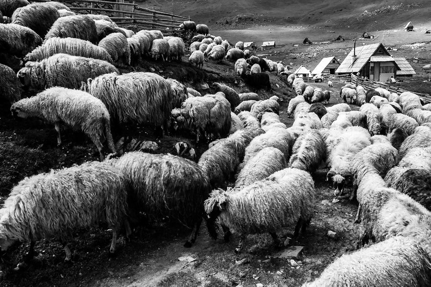 Life In Bosnia And Herzegovina In Photographs Life In Bosnia And Herzegovina In Photographs