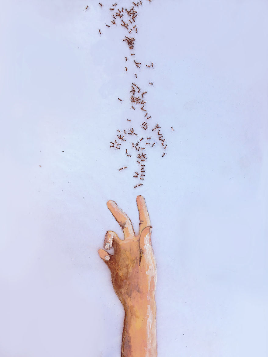 I 'Pay' Ants In Sugar To Help Me Finish My Animal Paintings (12 Pics)