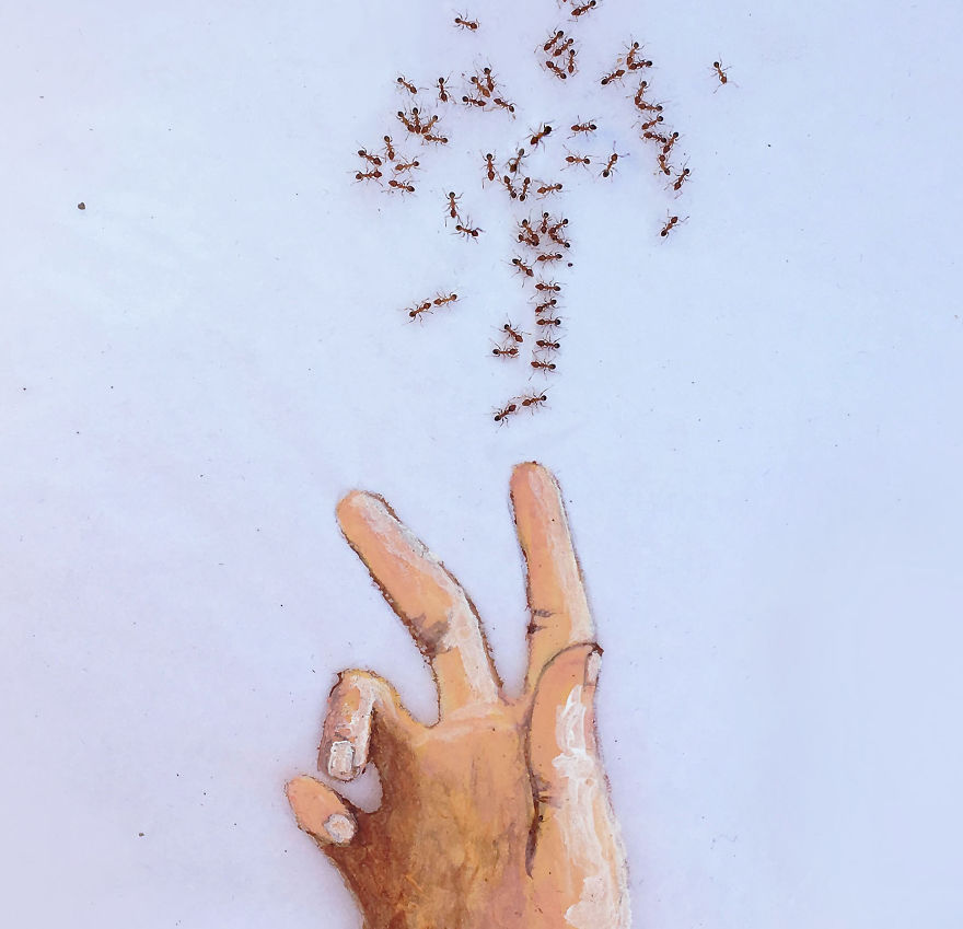 I 'Pay' Ants In Sugar To Help Me Finish My Animal Paintings (12 Pics)