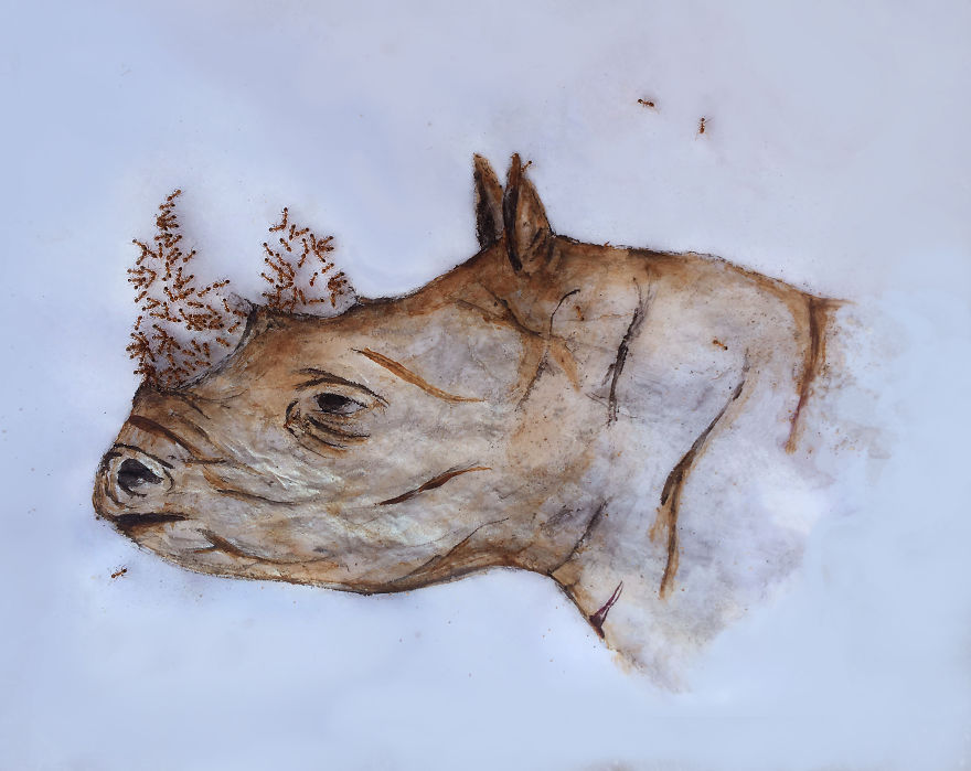 I 'Pay' Ants In Sugar To Help Me Finish My Animal Paintings (12 Pics)