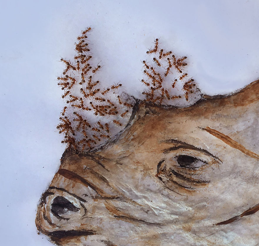 I 'Pay' Ants In Sugar To Help Me Finish My Animal Paintings (12 Pics)