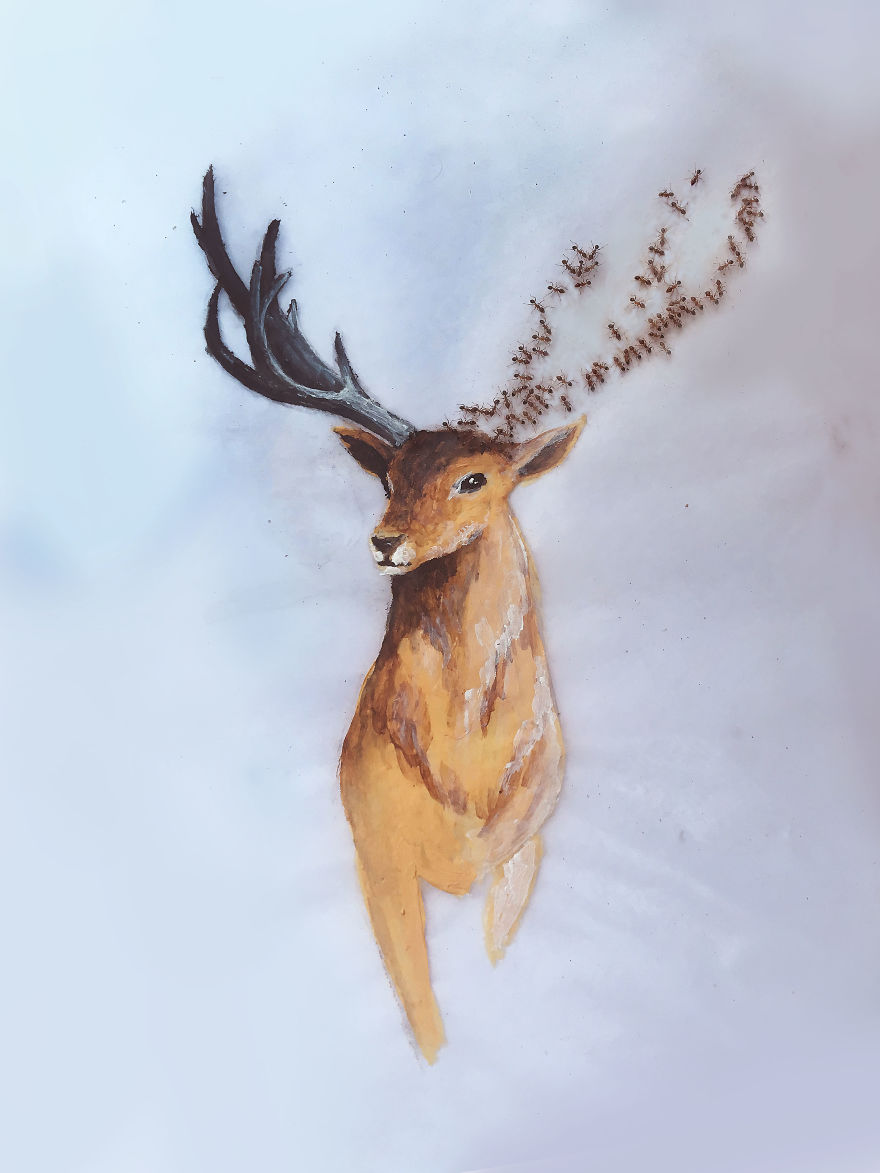 I 'Pay' Ants In Sugar To Help Me Finish My Animal Paintings (12 Pics) I 'Pay' Ants In Sugar To Help Me Finish My Animal Paintings (12 Pics)