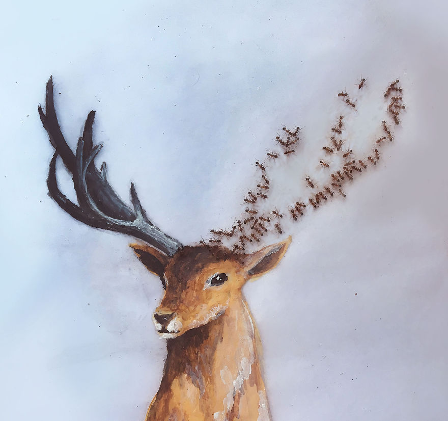 I 'Pay' Ants In Sugar To Help Me Finish My Animal Paintings (12 Pics) I 'Pay' Ants In Sugar To Help Me Finish My Animal Paintings (12 Pics)