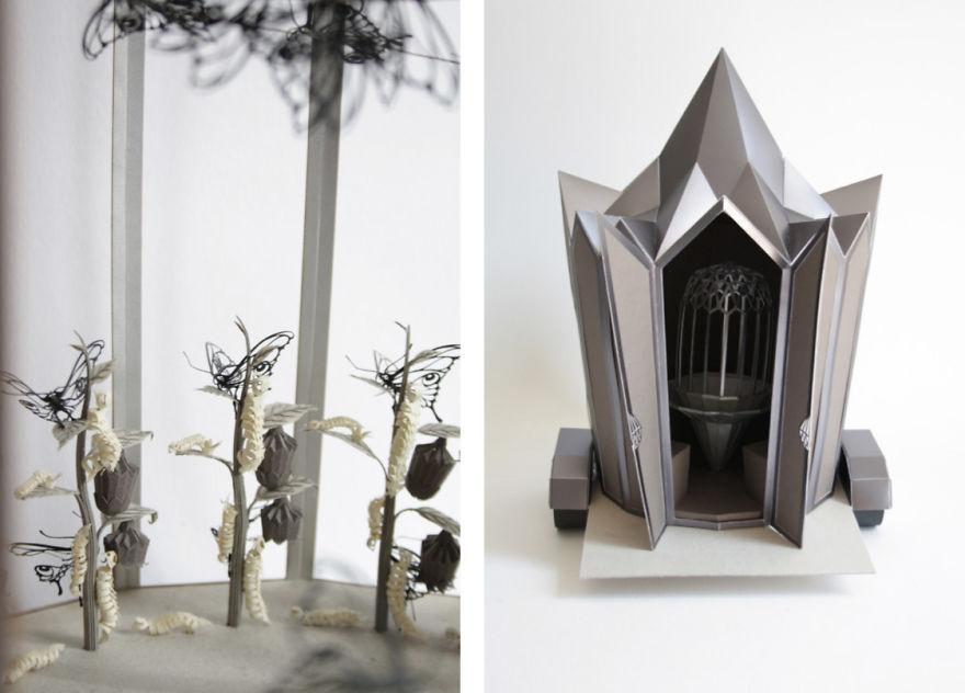 I'm Building A Unique Attraction In Which You Experience The Metamorphosis Of A Butterfly!