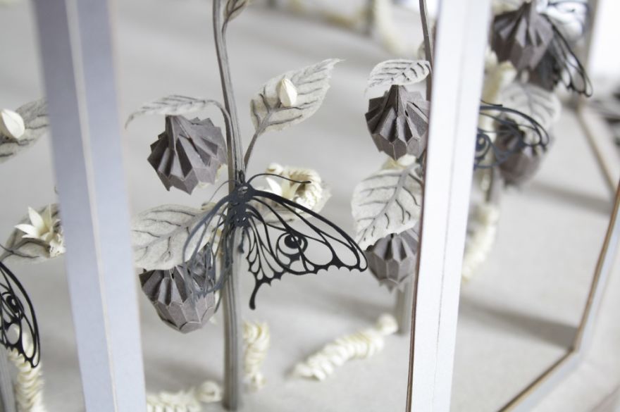 I'm Building A Unique Attraction In Which You Experience The Metamorphosis Of A Butterfly!