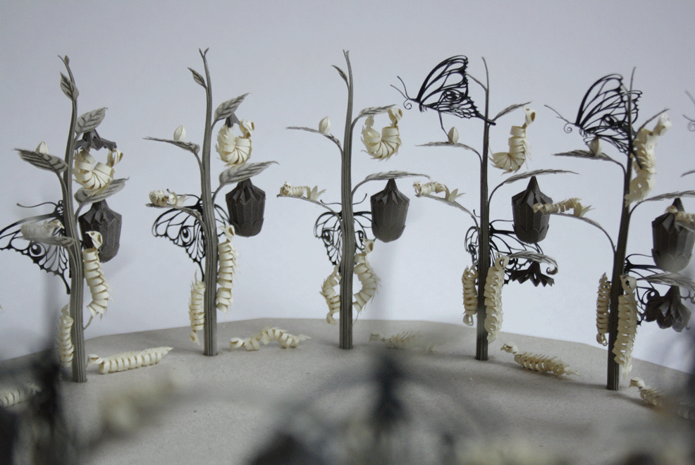 I'm Building A Unique Attraction In Which You Experience The Metamorphosis Of A Butterfly!