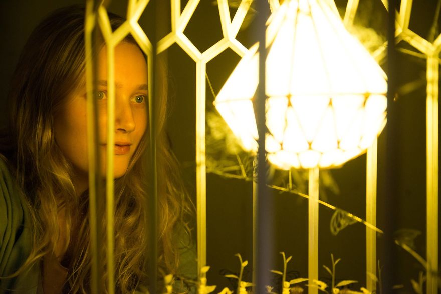 I'm Building A Unique Attraction In Which You Experience The Metamorphosis Of A Butterfly!