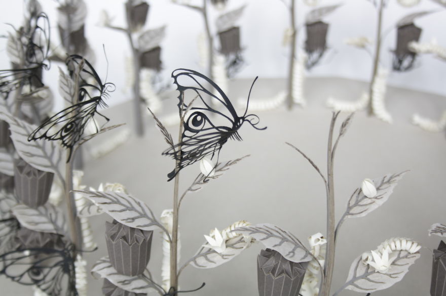 I'm Building A Unique Attraction In Which You Experience The Metamorphosis Of A Butterfly! I'm Building A Unique Attraction In Which You Experience The Metamorphosis Of A Butterfly!