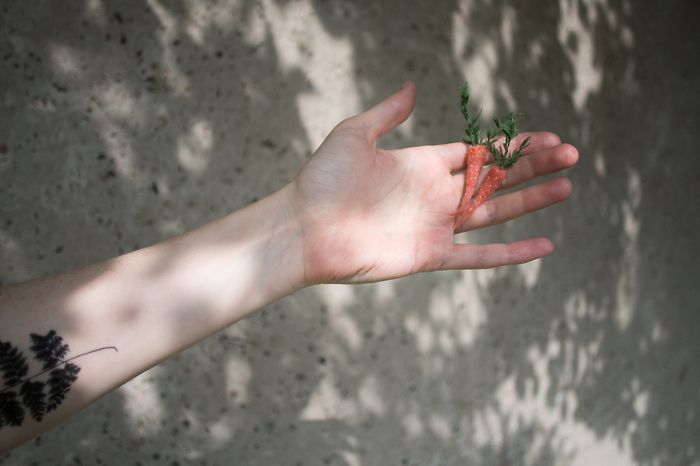 Why The Donkey Has Such Long, Long Ears?