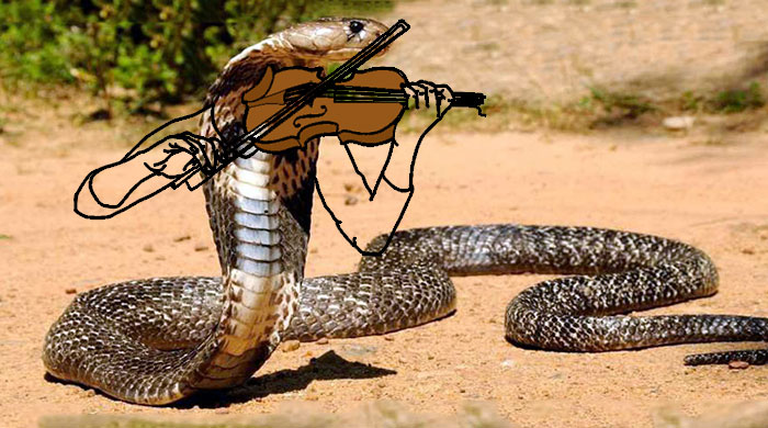 Let Me Play You A Sad Song