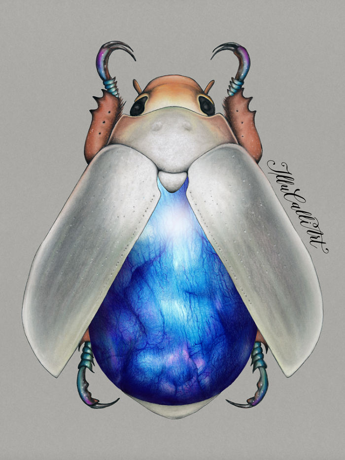 I Drew Beetles That Hide Colourful Minerals Underneath Their Shiny Wing Cases I Drew Beetles That Hide Colourful Minerals Underneath Their Shiny Wing Cases