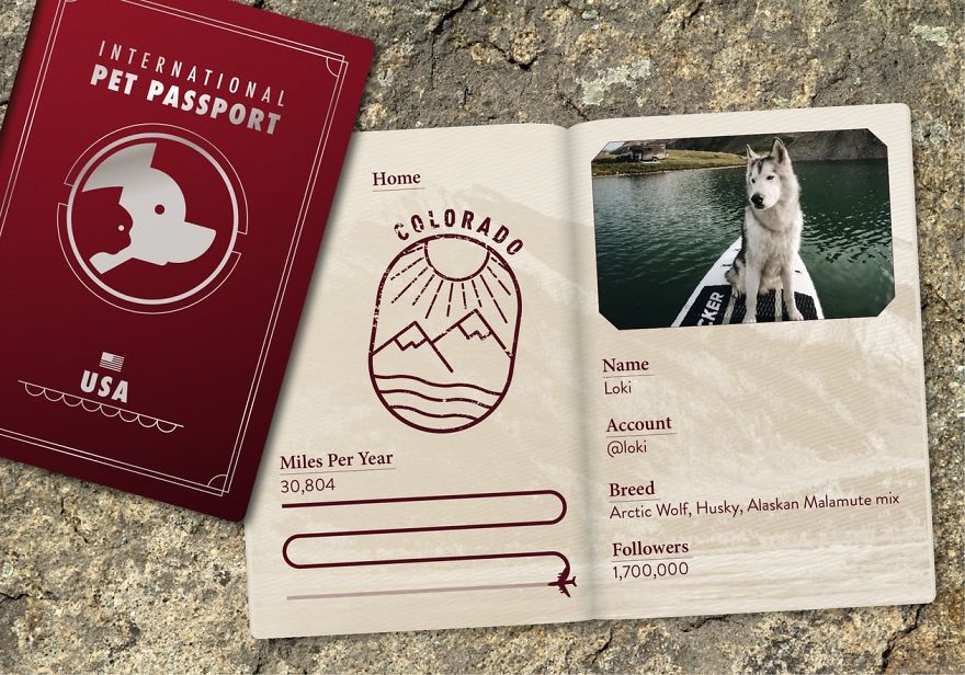 The Jet Set Pets Of Instagram - Who Travel Way More Than Us