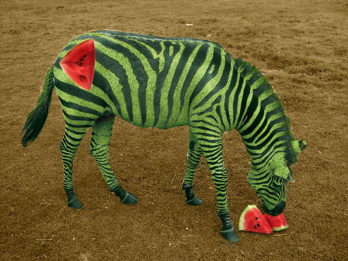 Animals Photoshopped Into Plants