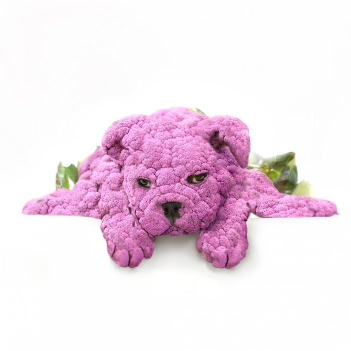 Animals Photoshopped Into Plants