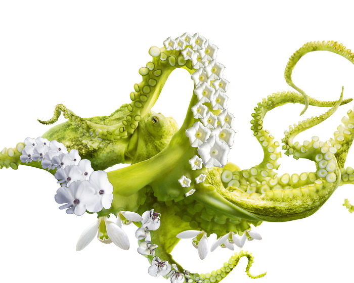 Animals Photoshopped Into Plants