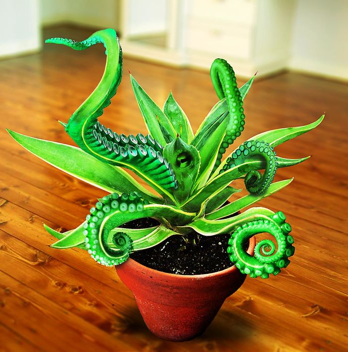 Animals Photoshopped Into Plants