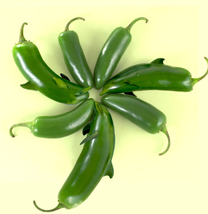 Animals Photoshopped Into Plants