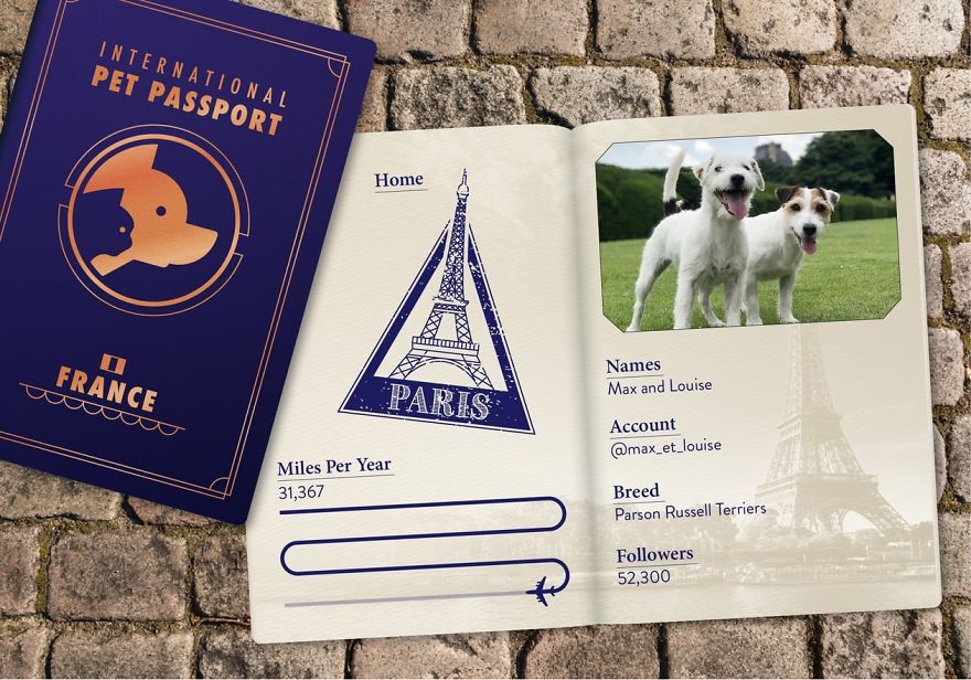 The Jet Set Pets Of Instagram - Who Travel Way More Than Us