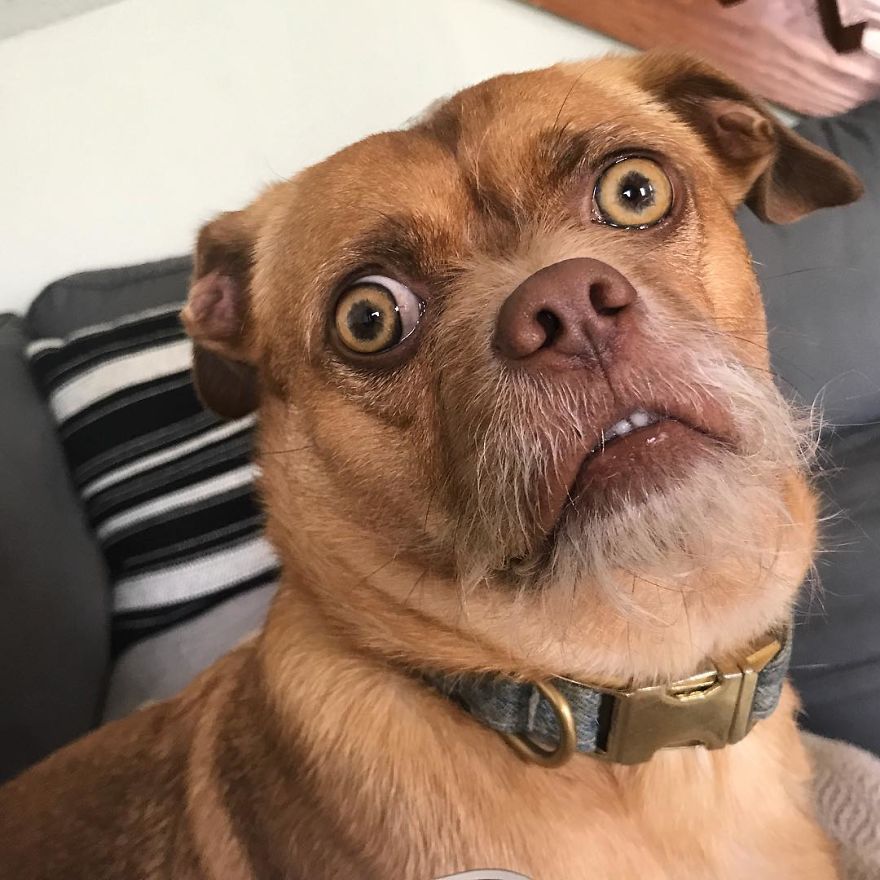 I Don’t Know What I Did But I’m Getting An Over Whelming Sense Of Disapproval And Judgment