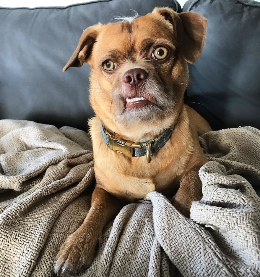 The Weekends Not Ready For All The Choices I Plan On Making