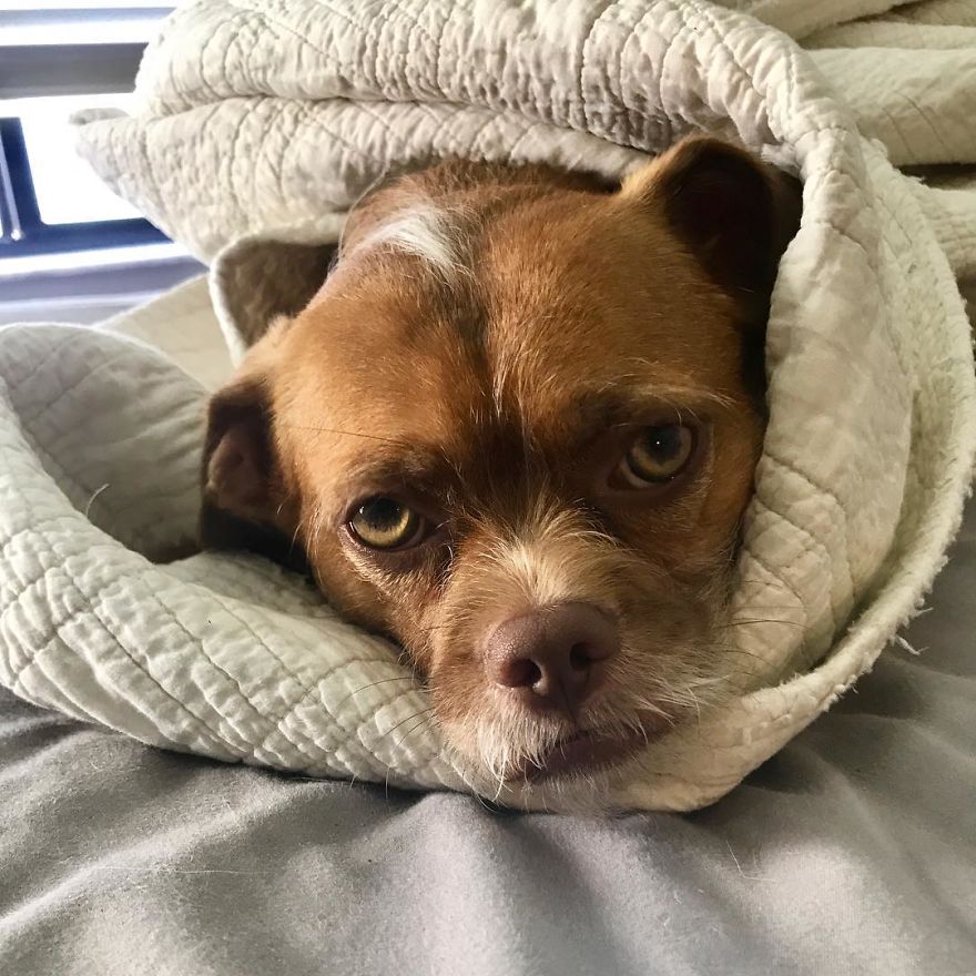 When The Alarm Goes Off On Monday And You Promised Yourself You Would Stop Hitting Snooze