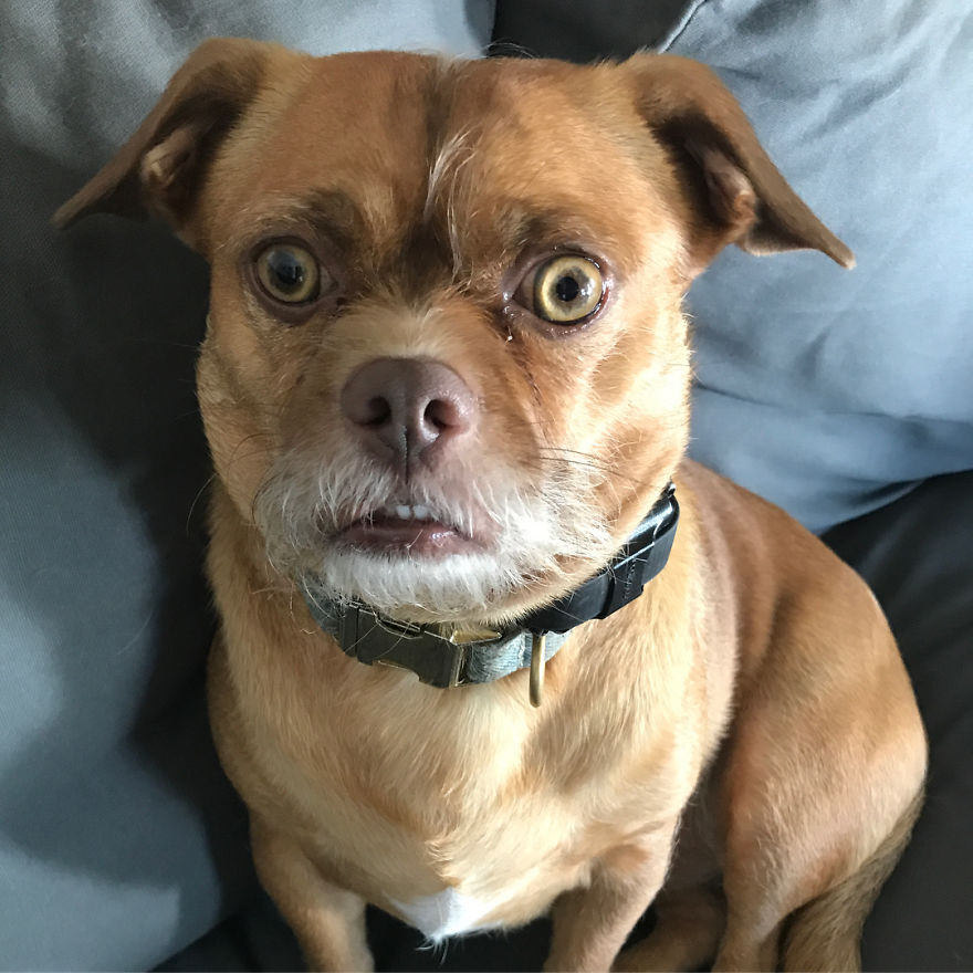 Having To Be Productive After Sunday Funday