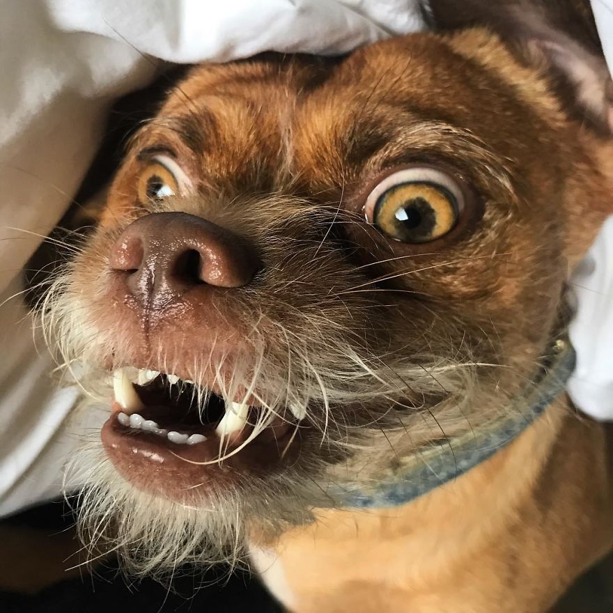 When He Tells You You’re Beautiful With No Makeup On