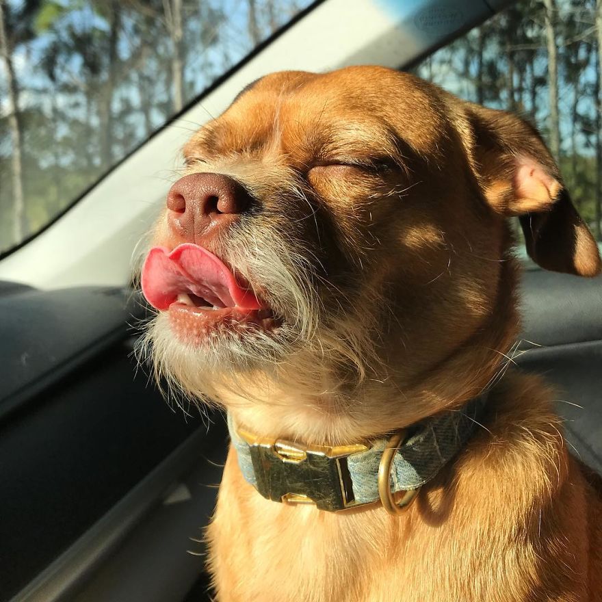 When You Catch A Glimpse Of Yourself In A Mirror And Like The Way You Look