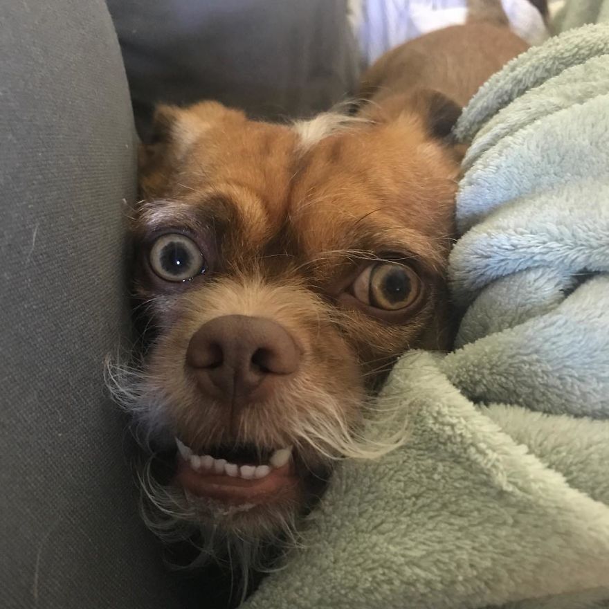 He's Adjusting Really Well To The Time Change... Can't You Tell?