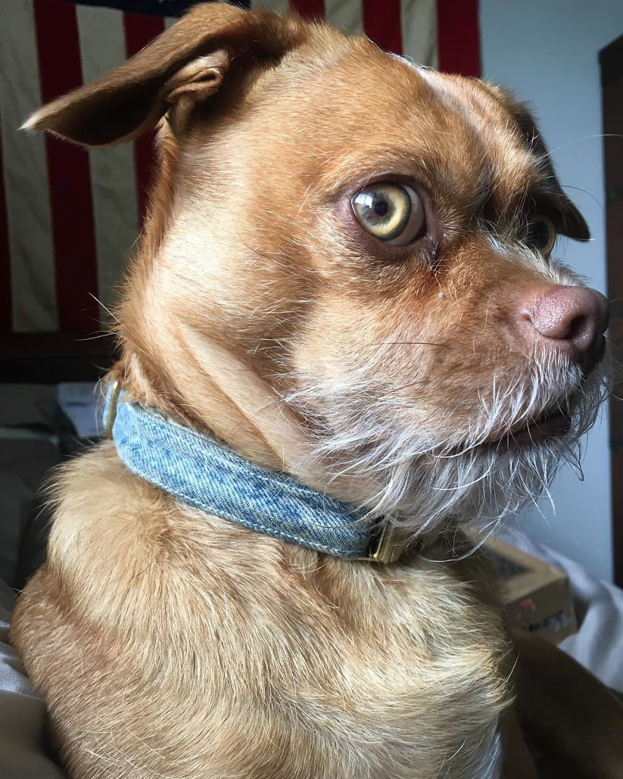 When You Thought It Was Gonna Be A Silent Toot!