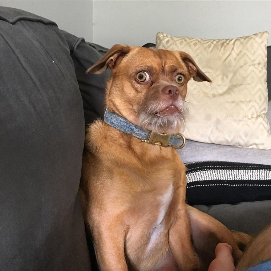 When You Hear Christmas Music In Early November