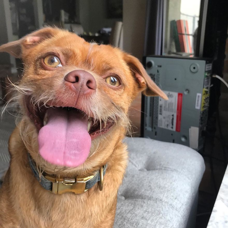 Having A Sleep Over With A Puppy Has Got Me Like