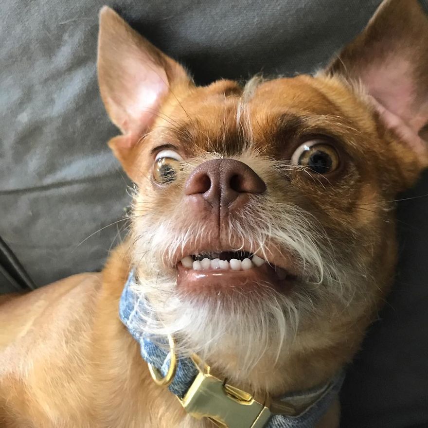 Monday Again?! How Dare You Come So Soon?!