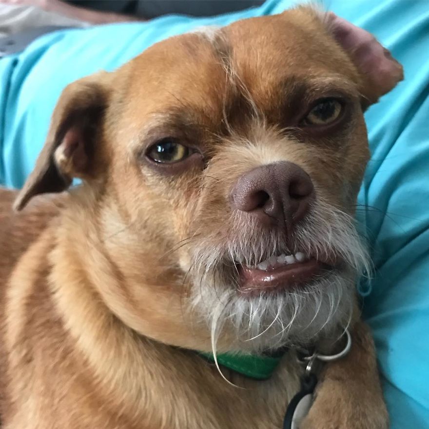 When You've Listed 100 Restaurants & She Still Doesn't Know Where She Wants To Eat