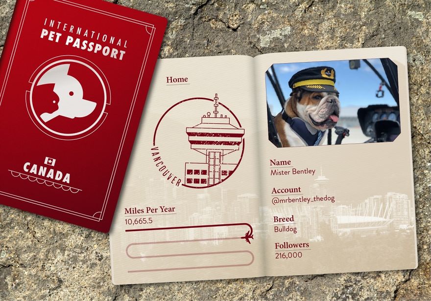 The Jet Set Pets Of Instagram - Who Travel Way More Than Us