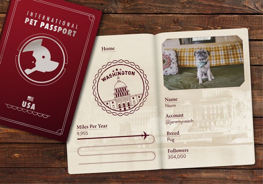 The Jet Set Pets Of Instagram - Who Travel Way More Than Us