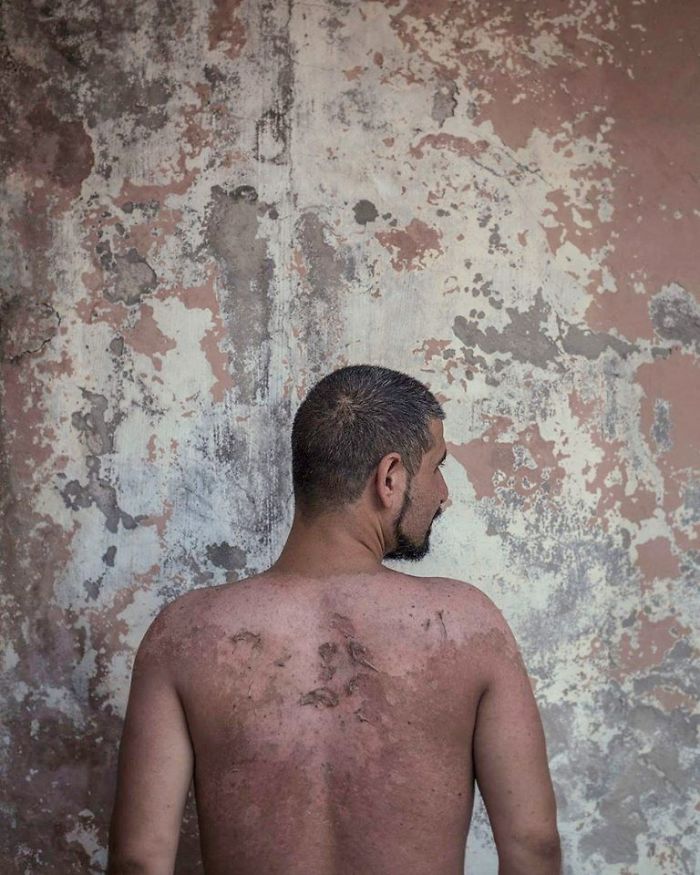 Organic Camouflage Organic Camouflage