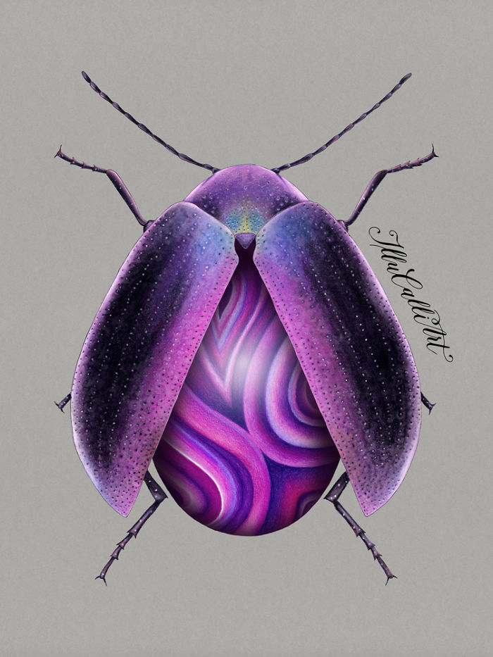 I Drew Beetles That Hide Colourful Minerals Underneath Their Shiny Wing Cases I Drew Beetles That Hide Colourful Minerals Underneath Their Shiny Wing Cases