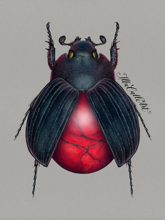 I Drew Beetles That Hide Colourful Minerals Underneath Their Shiny Wing Cases I Drew Beetles That Hide Colourful Minerals Underneath Their Shiny Wing Cases