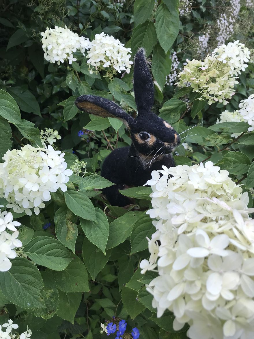 So Many Hours Spent Poking Wool With A Tiny Needle - Such Magical Transformations!