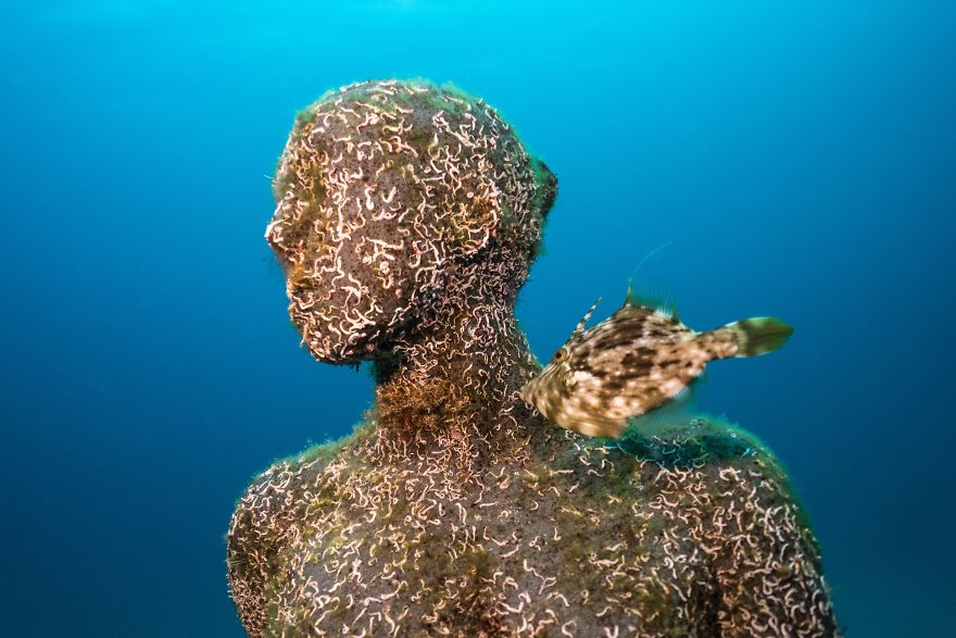 Take A Virtual Dive Into Europe's First Underwater Museum